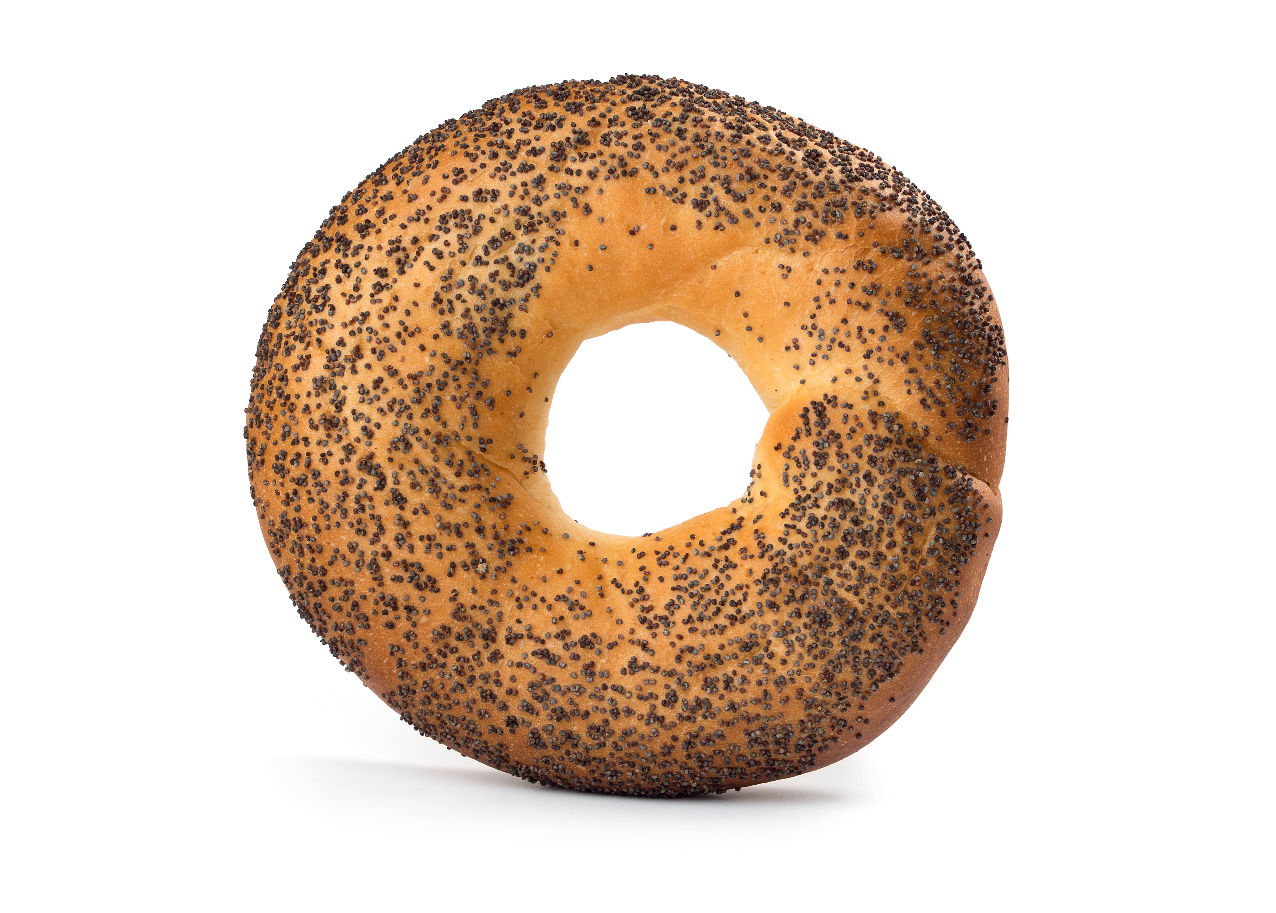 High Protein Poppy Seed Bagel (glutenfree)
