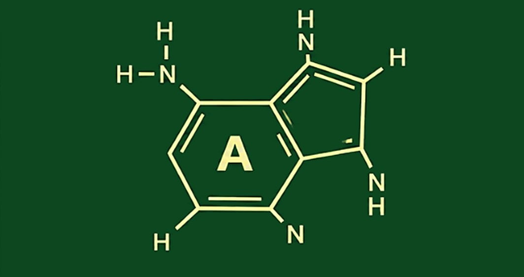 Protein hilft beim Planen